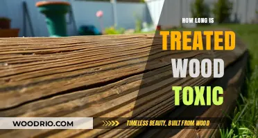 Treated Wood Toxicity: Understanding the Duration of Chemical Hazards