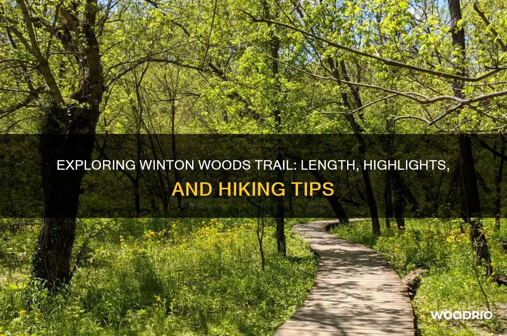 how long is winton woods trail
