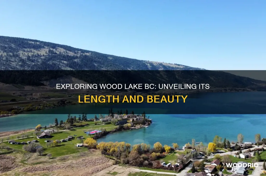 how long is wood lake bc