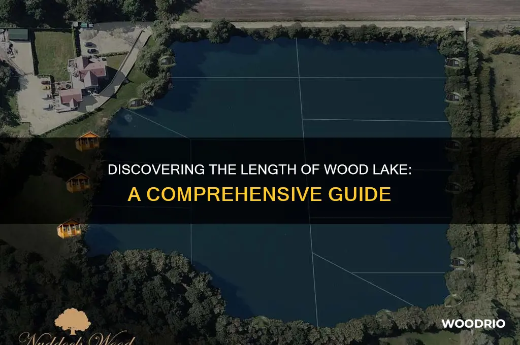 how long is wood lake
