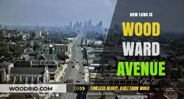 Exploring the Length of Wood Ward Avenue: A Comprehensive Guide