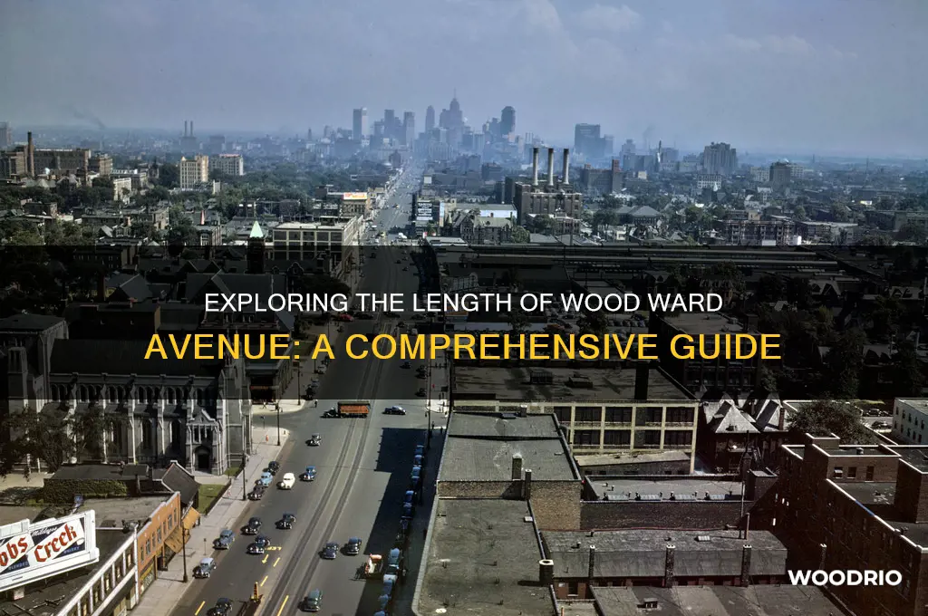 how long is wood ward avenue