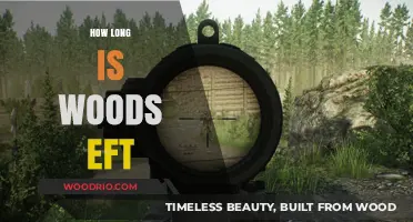 Understanding the Duration of WOODS EFT Training Programs