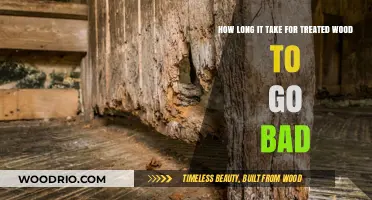 Treated Wood Lifespan: Factors Affecting Decay and Longevity Explained