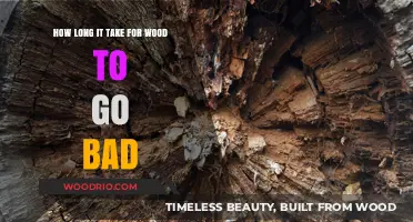 How Long Does Wood Last? Factors Affecting Decay and Preservation