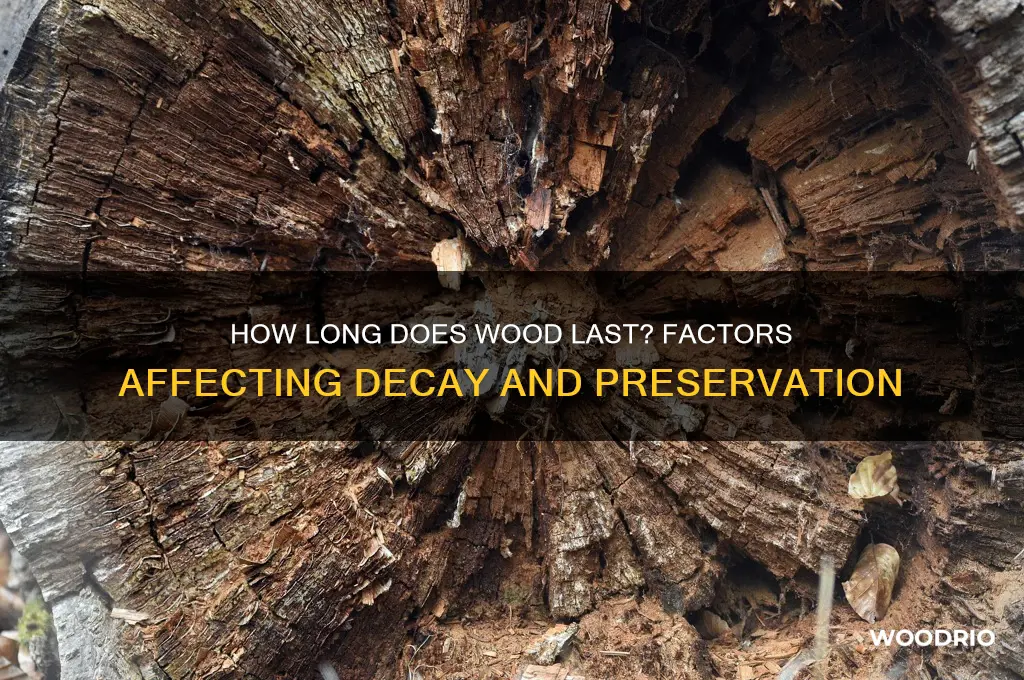 how long it take for wood to go bad