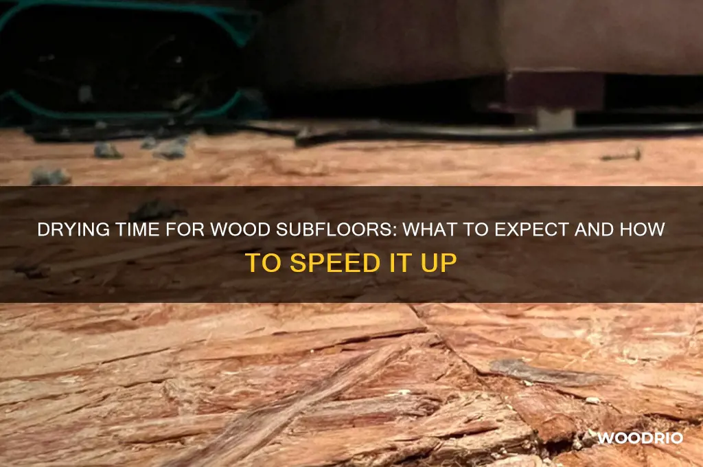 how long it takes for wood subfloor dry