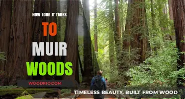 Exploring Muir Woods: Time Estimates for Your Nature Adventure