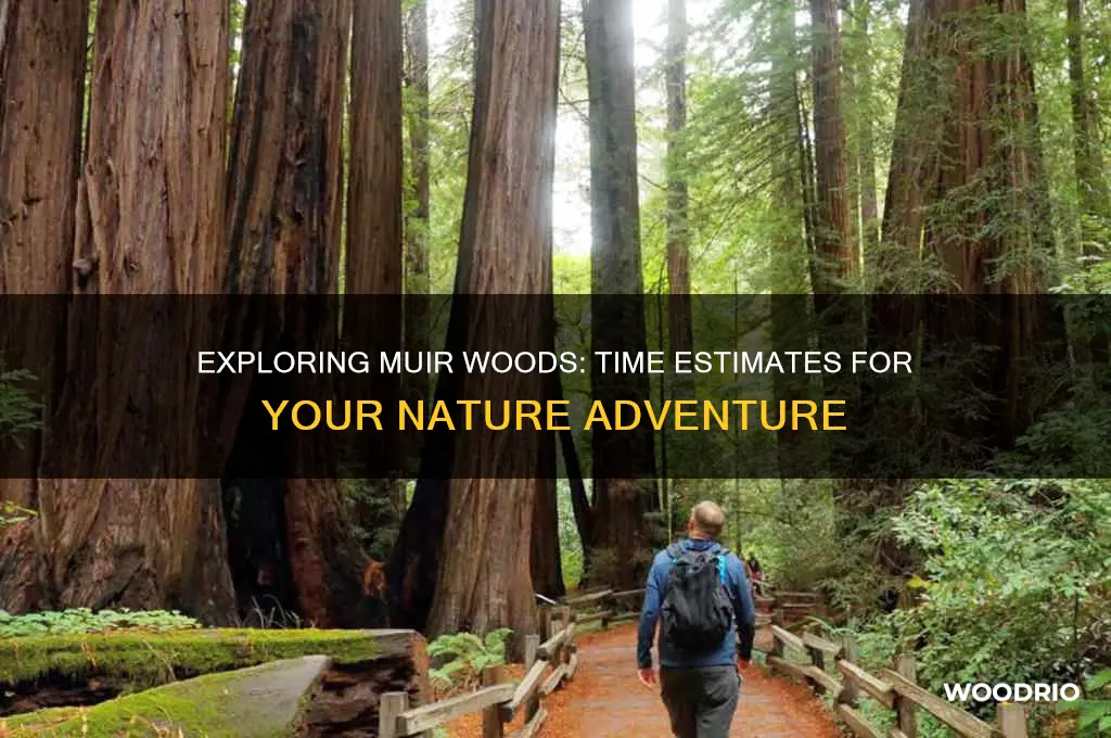 how long it takes to muir woods