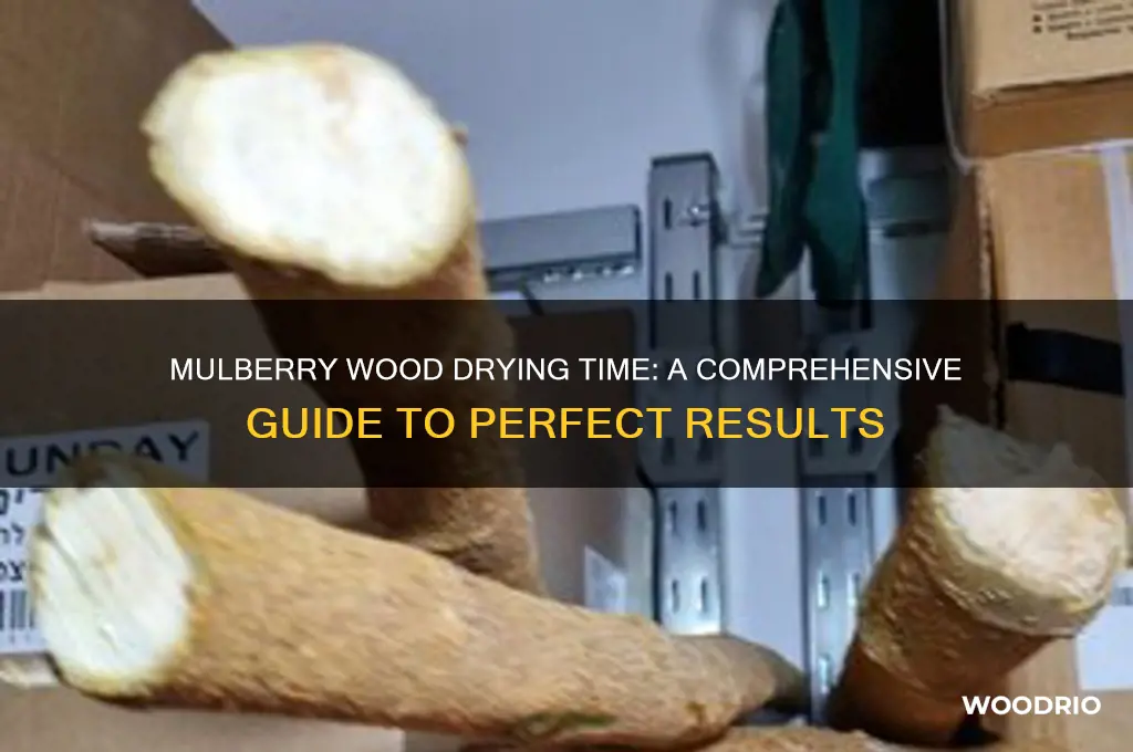 how long mulberry to dry wood