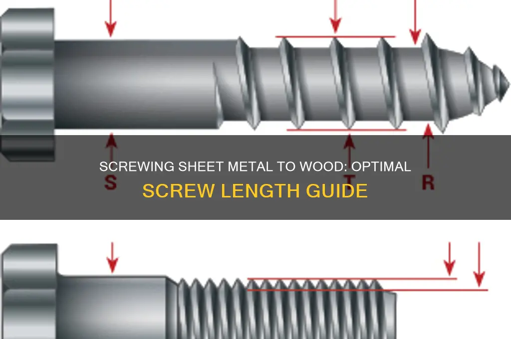 how long of a screw sheet metal to wood