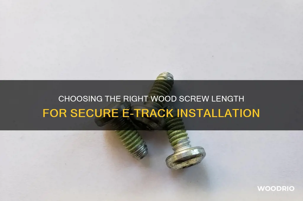 how long of a wood screw needed for e-tracks