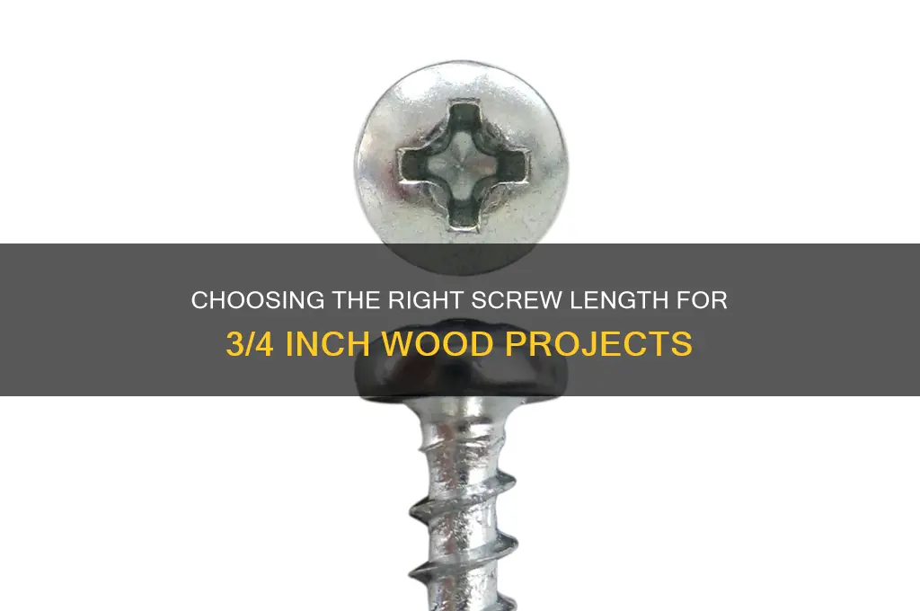how long of screws for 3 4 wood