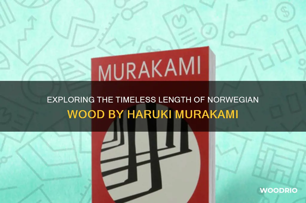 how long os norwegian wood haruki murakamk