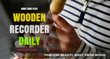 Mastering the Wooden Recorder: Ideal Daily Practice Duration for Progress