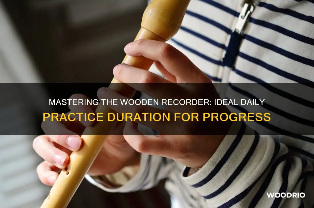 how long play wooden recorder daily