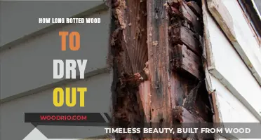 Drying Rotted Wood: Timeframe and Effective Techniques for Restoration