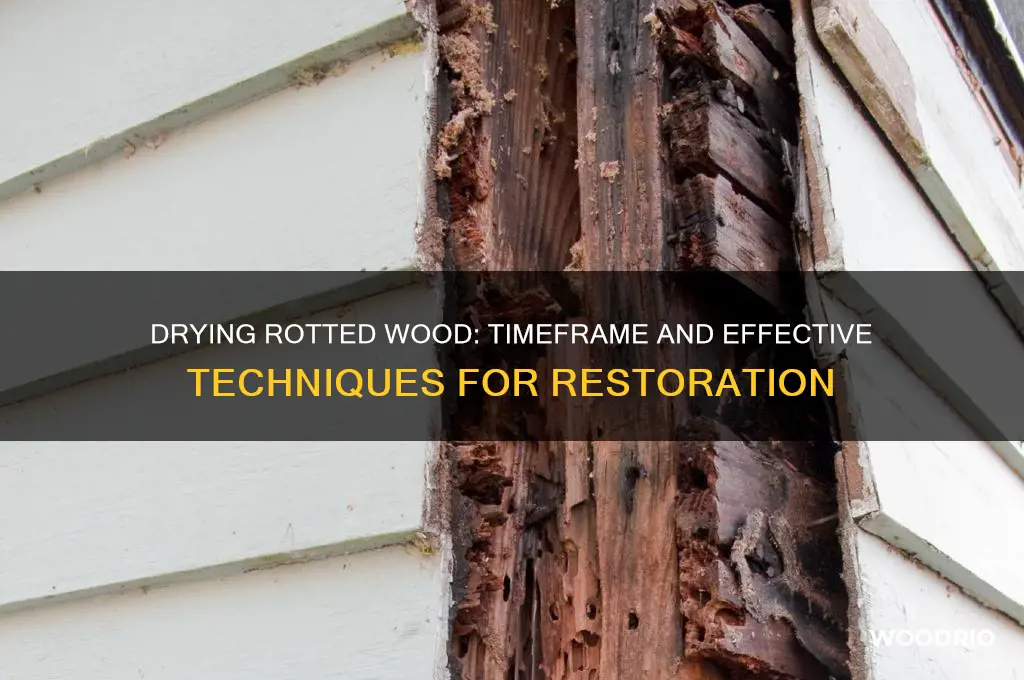 how long rotted wood to dry out