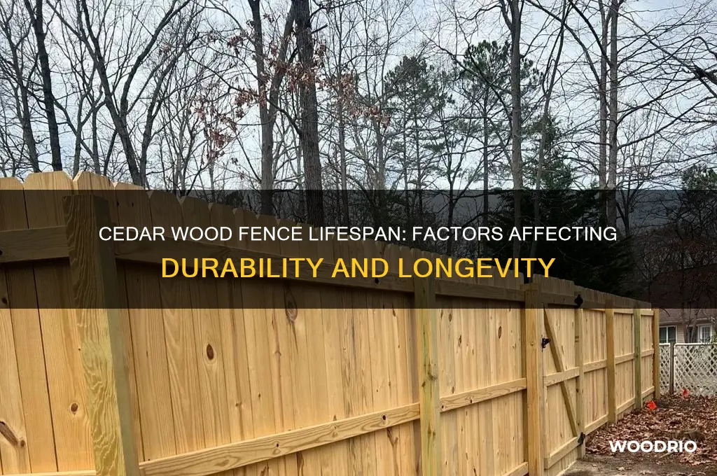 how long should a cedar wood fence last