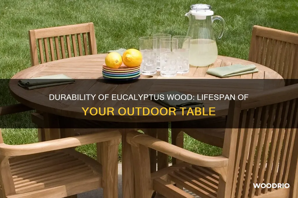 how long should an outdoor eucalyptus wood table last