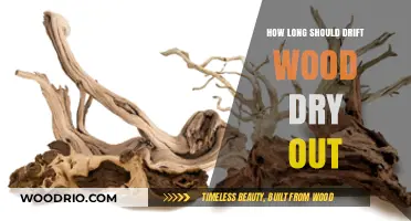 Driftwood Drying Time: How Long Should It Air Out?