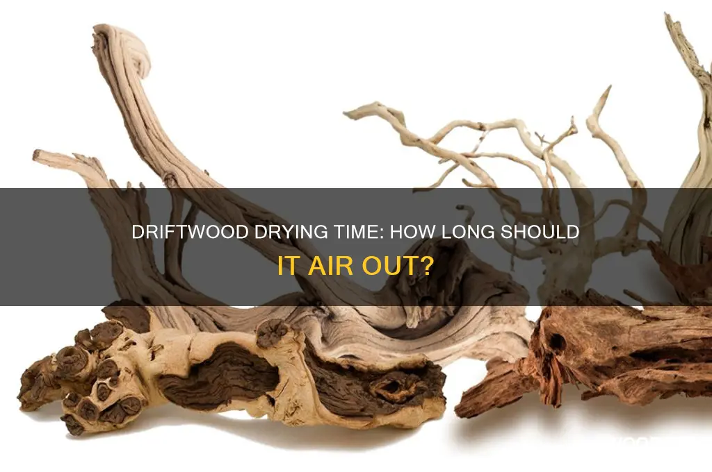 how long should drift wood dry out