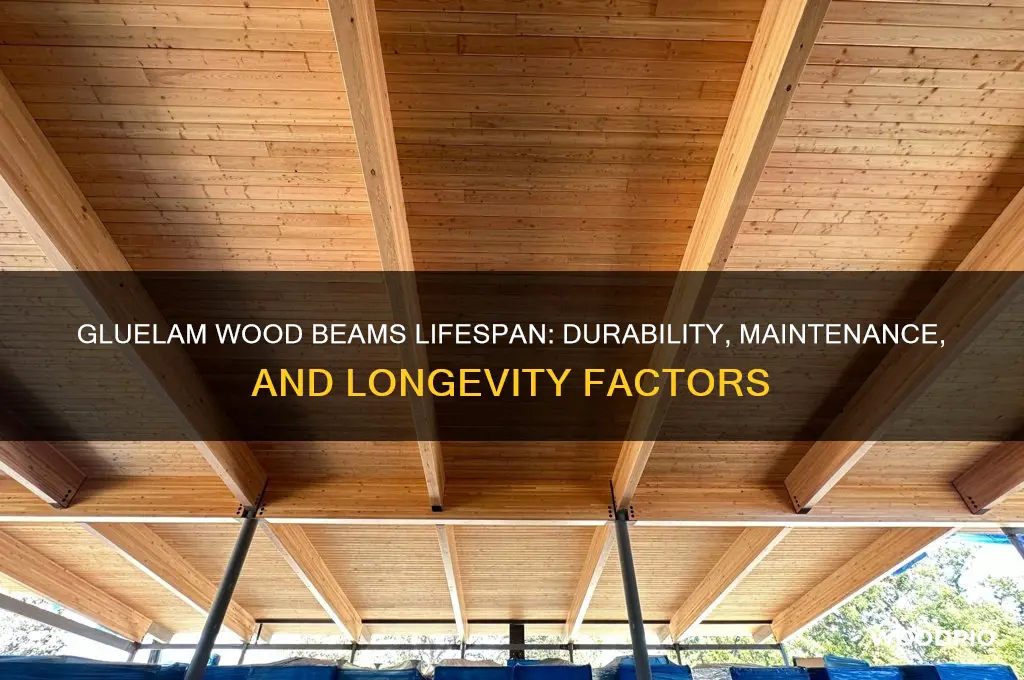 how long should gluelam wood beams last
