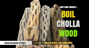 Boiling Cholla Wood: Optimal Time for Safe Aquarium Use