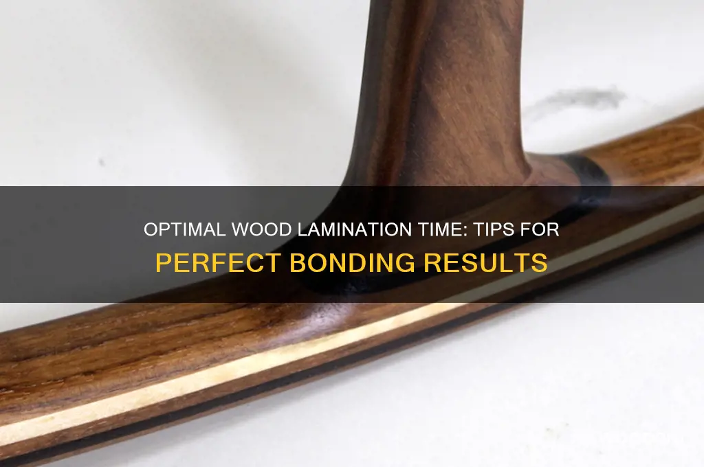 how long should i let wood lam