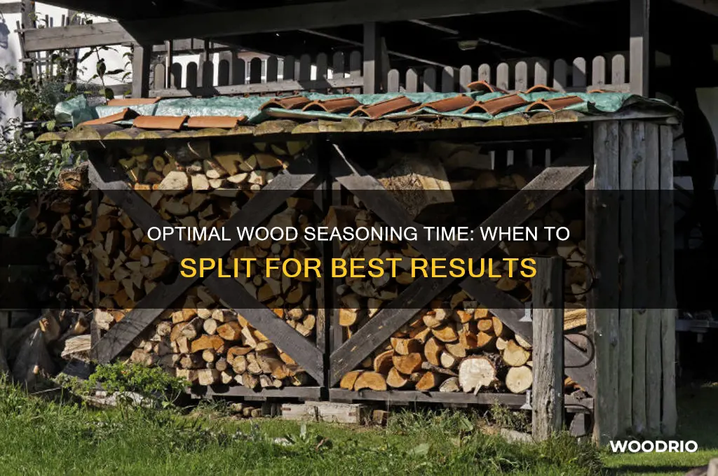 how long should i let wood season before splitting