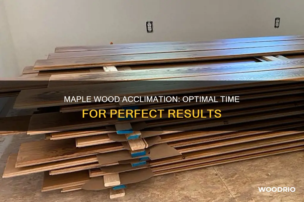 how long should maple wood acclimate