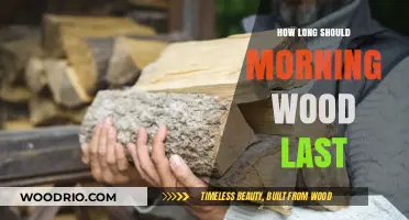 Understanding Morning Wood Duration: What's Normal and When to Worry