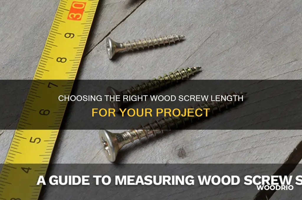 how long should my wood screws be