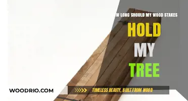 How Long Do Wood Stakes Support Trees? A Durability Guide