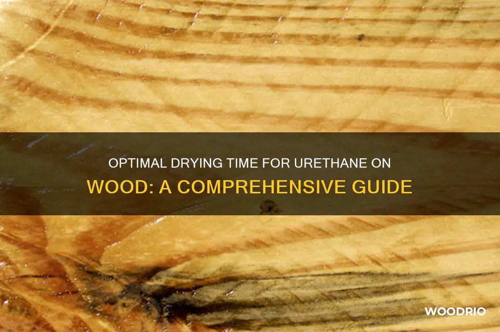 how long should urethane dry on wood