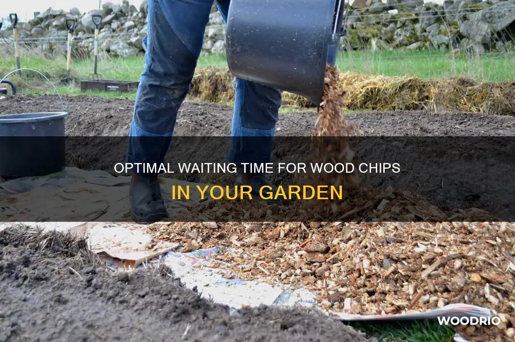 how long should wood chips sit before putting on garden