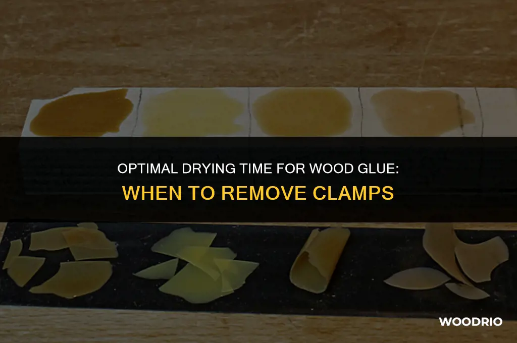 how long should wood glue dry before removing clamps