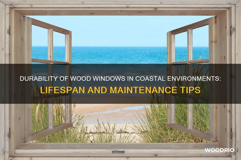 how long should wood windows last at the beach