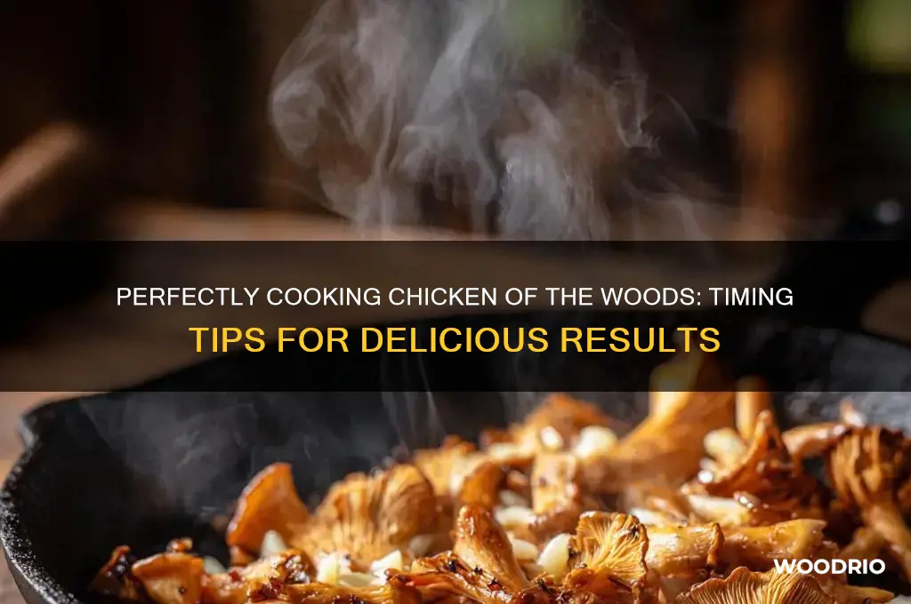 how long should you cook chicken of the woods