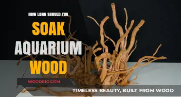 Perfect Aquarium Wood Soaking Time: Tips for a Healthy Tank Setup