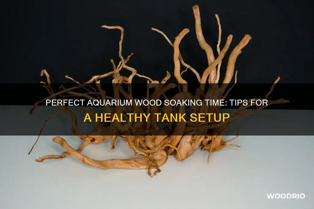 how long should you soak aquarium wood