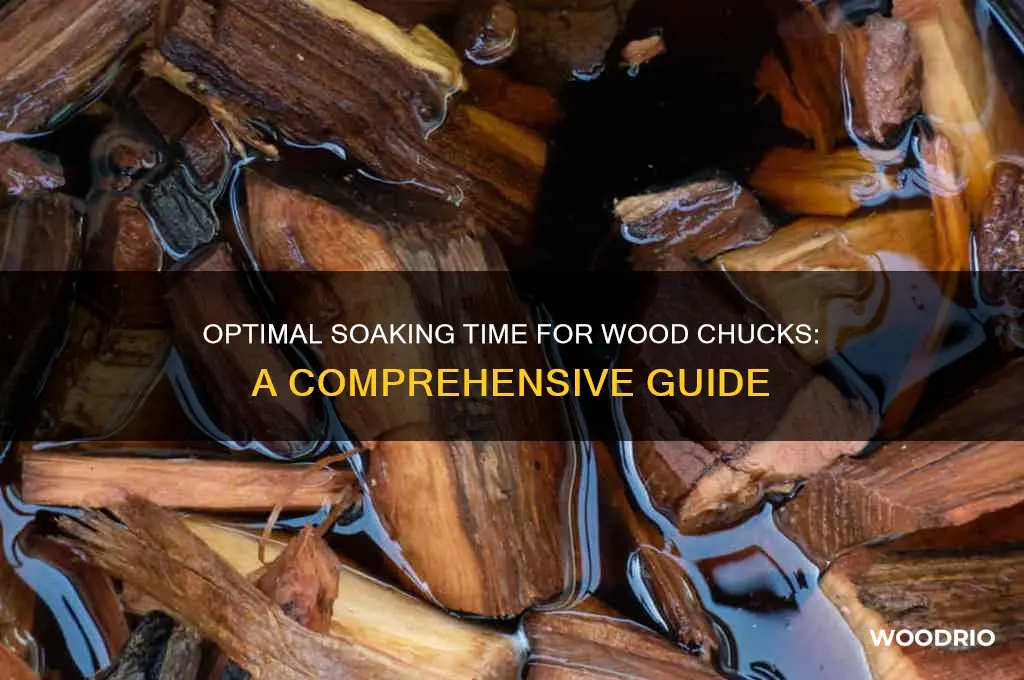 how long should you soak wood chucks