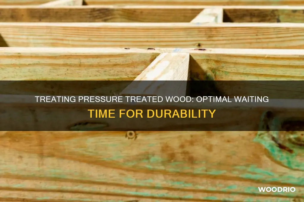 how long should you wait to treat pressure treated wood