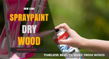 How Long Does Spray Paint Take to Dry on Wood?