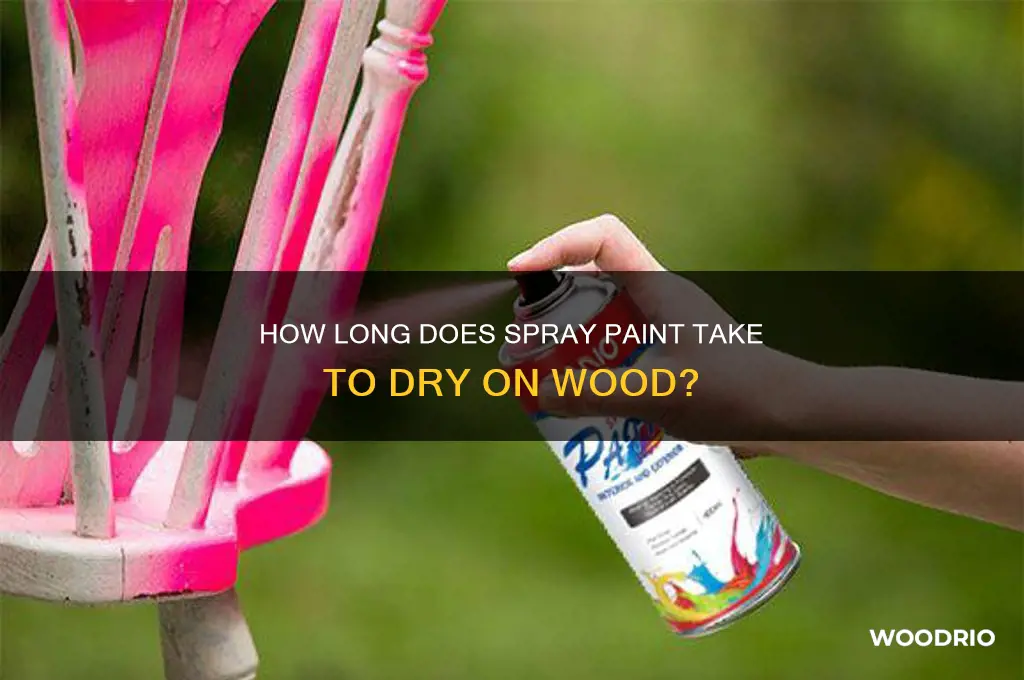 how long spraypaint dry wood