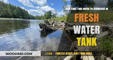 How Long Does Wood Take to Submerge in Fresh Water?