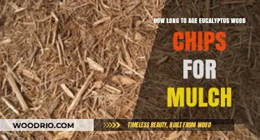 Aging Eucalyptus Wood Chips: Optimal Time for Perfect Mulch