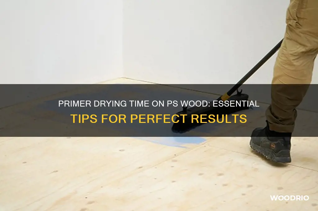 how long to allow primer to dry on ps wood