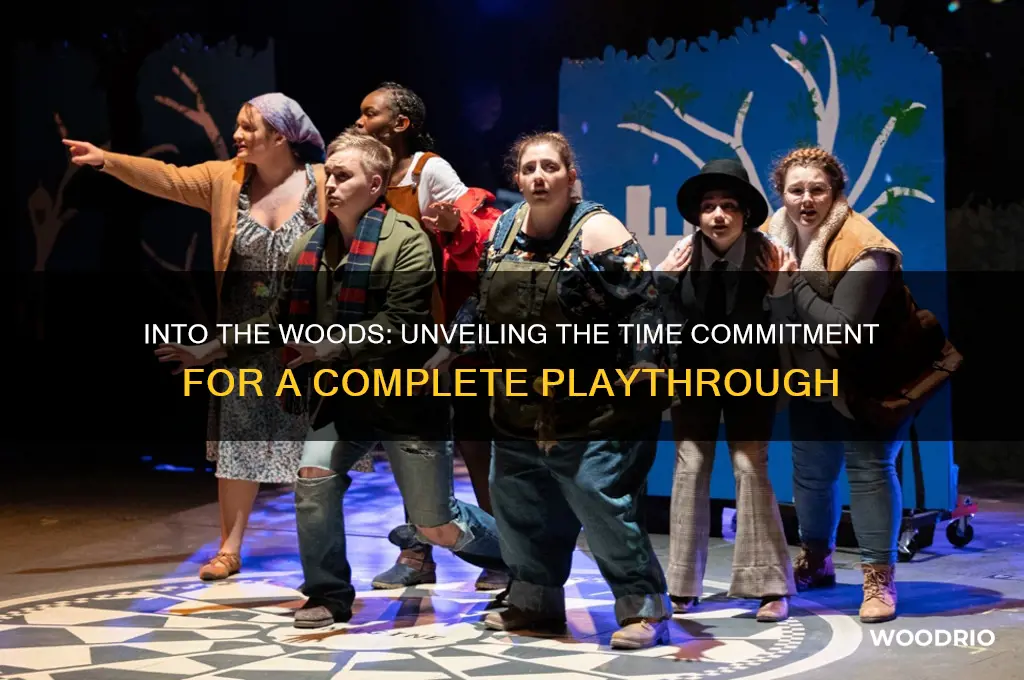 how long to beat into the woods