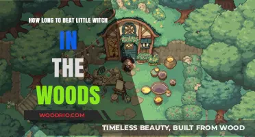 Little Witch in the Woods: Time to Complete the Magical Journey